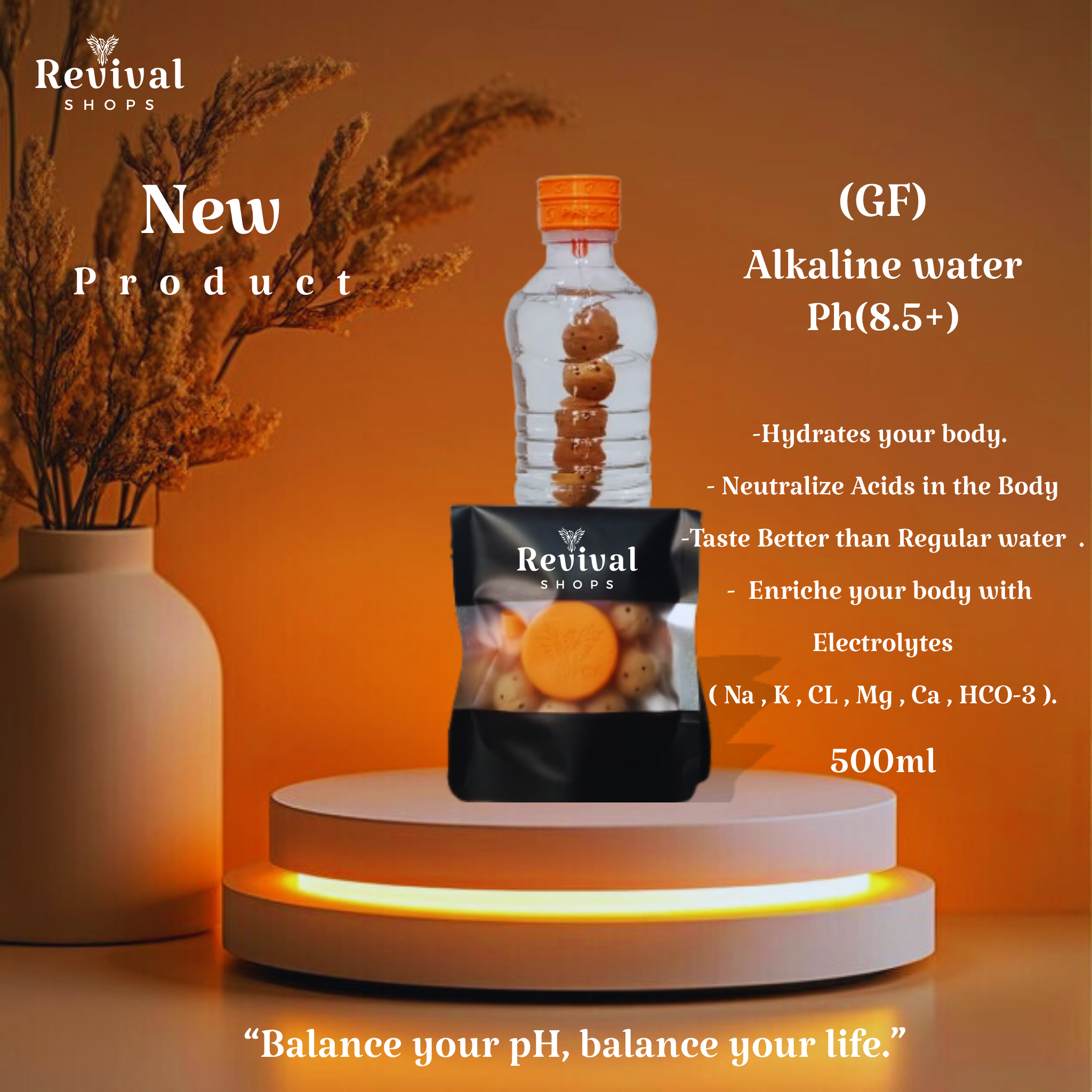 G-Filter "GF" - Alkaline Water pH ( 8.5+) + Electrolytes for Water Bottle , 450 Refills / 3 Months,500ml.